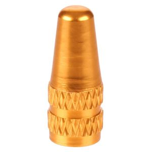 Jorik's Testproduct 7 - Fietsventieldopje